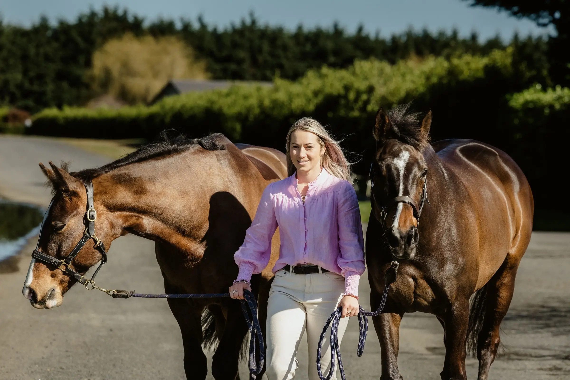 Paxton walking down a driveway leading two bay horses, one either side