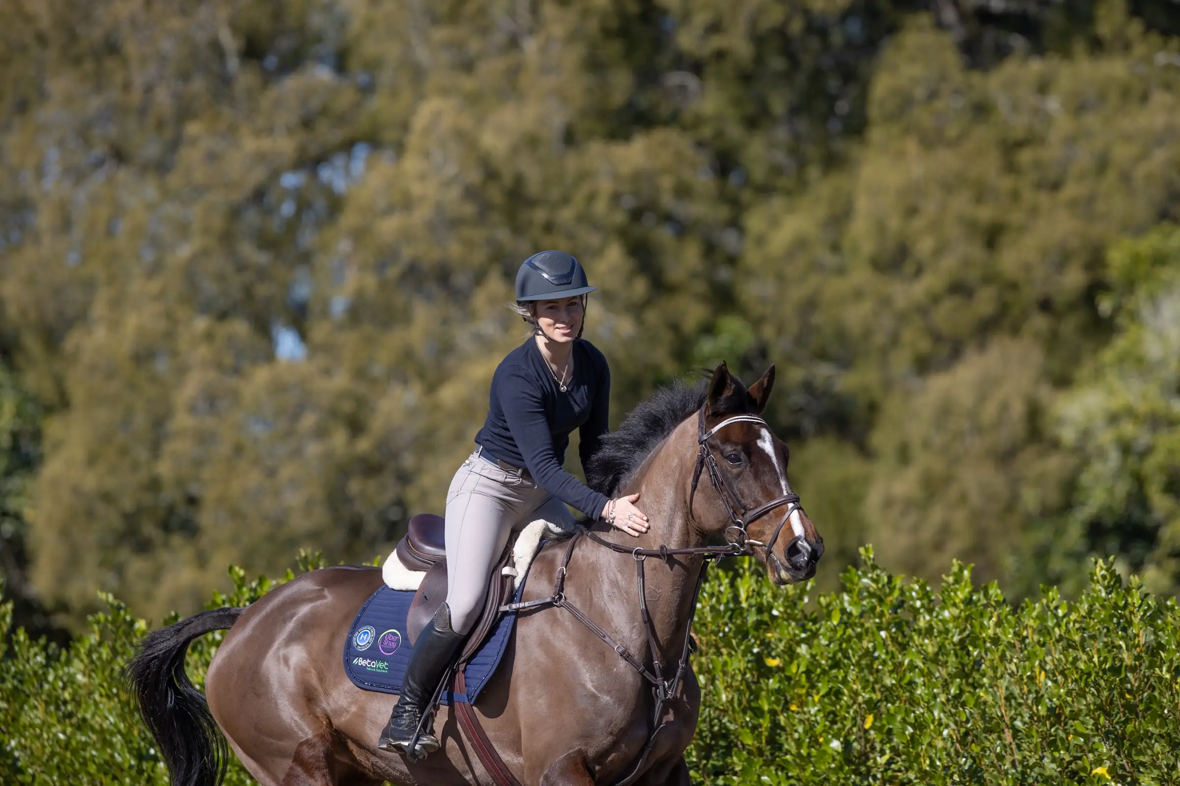 Paxton riding a bay horse past a boxwood hedge on a bright day